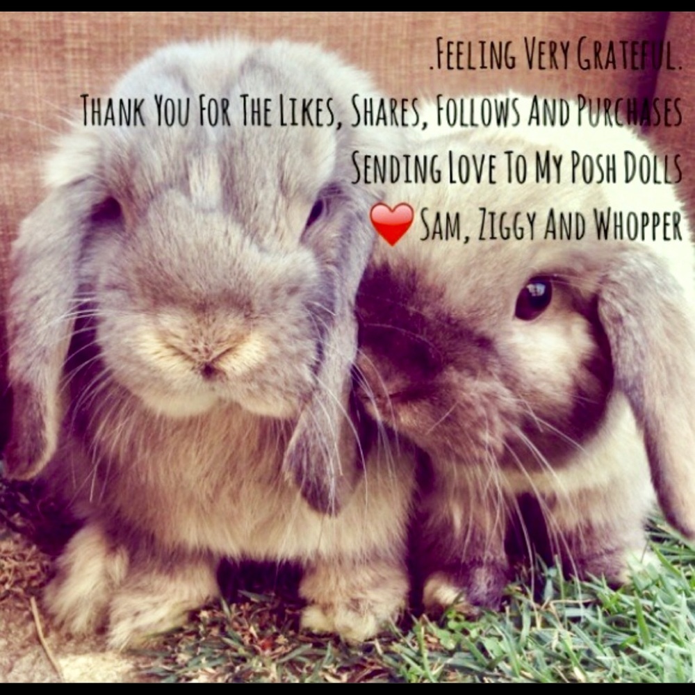 I love Gucci pocketbooks! I’m Channel